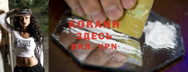 дмт Ладушкин