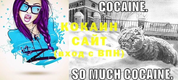 дмт Ладушкин