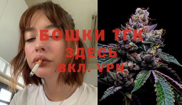 дмт Ладушкин