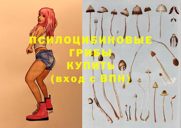 марки lsd Кукмор