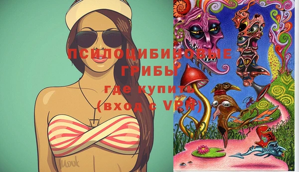 индика Куйбышев