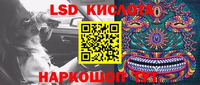 СК Дубна