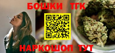 СК Дубна