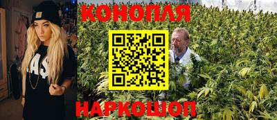 СК Дубна
