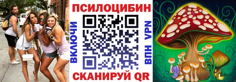 Псилоцибиновые грибы мицелий кракен как зайти Мелеуз продажа наркотиков