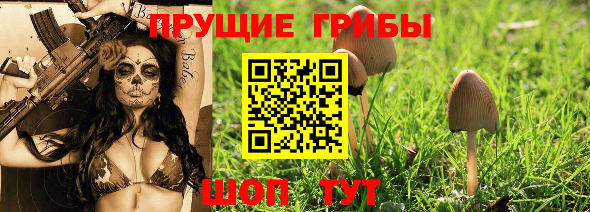 Галлюциногенные грибы Cubensis Мелеуз