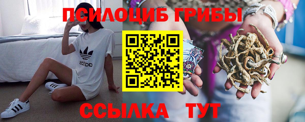 купить наркотики сайты  Галлюциногенные грибы прущие грибы  Вход с VPN  Мелеуз 